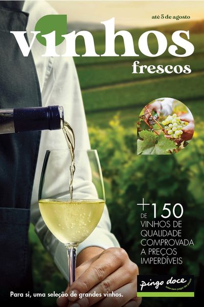 Catálogo Pingo Doce em Beja | Vinhos | 19/07/2024 - 05/08/2024