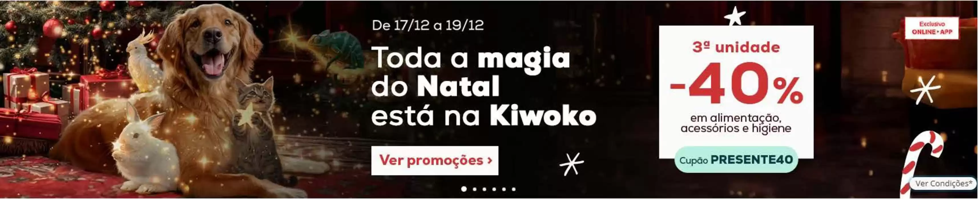 Catálogo Kiwoko em Oeiras | -40% | 17/12/2024 - 19/12/2024