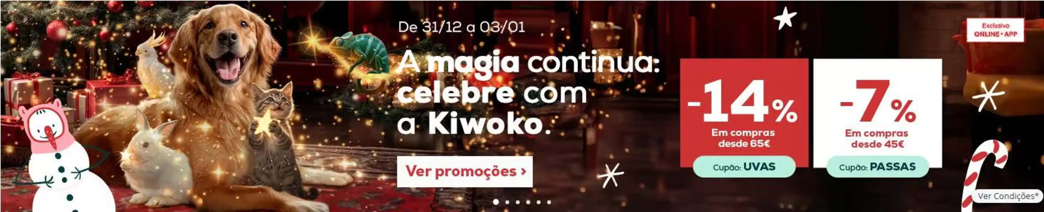 Catálogo Kiwoko em Barcelos | Promoção | 31/12/2024 - 03/01/2025