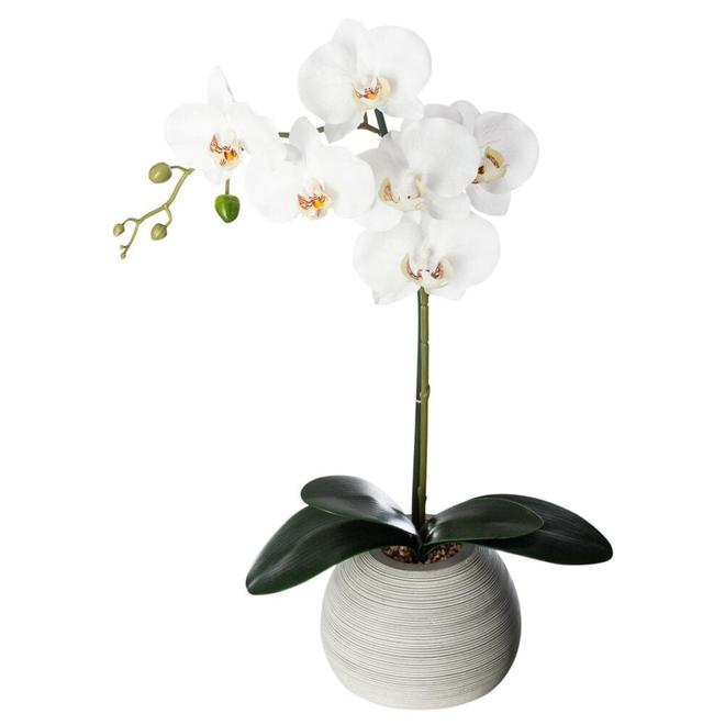 Oferta de Vaso Em Cimento Com Orquídea Artificial por 16,99€ em hôma