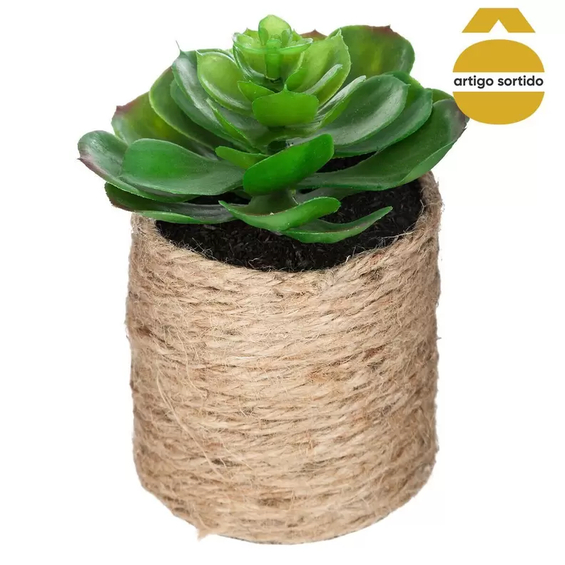 Oferta de Vaso De Corda Com Planta 15cm por 3,99€ em hôma