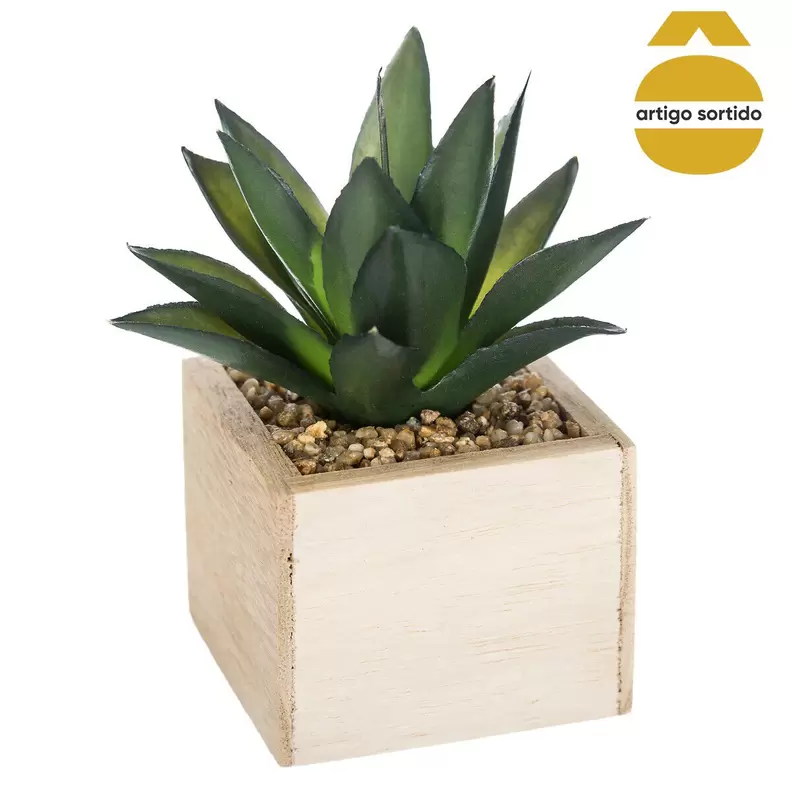 Oferta de Vaso de madeira com planta 15cm por 3,99€ em hôma