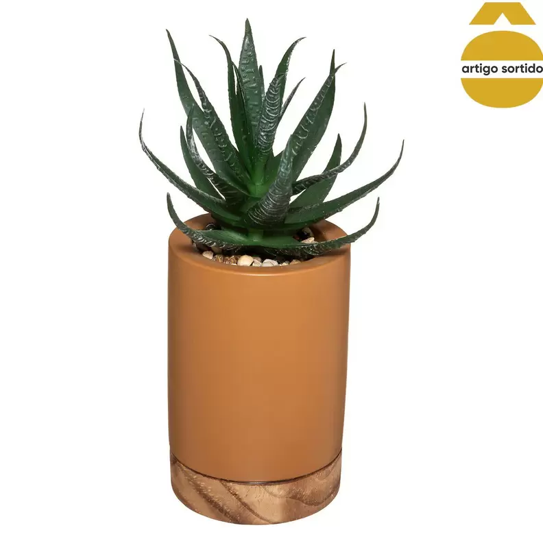 Oferta de Vaso Em Cimento Wild Com Suculenta 20cm por 5,99€ em hôma