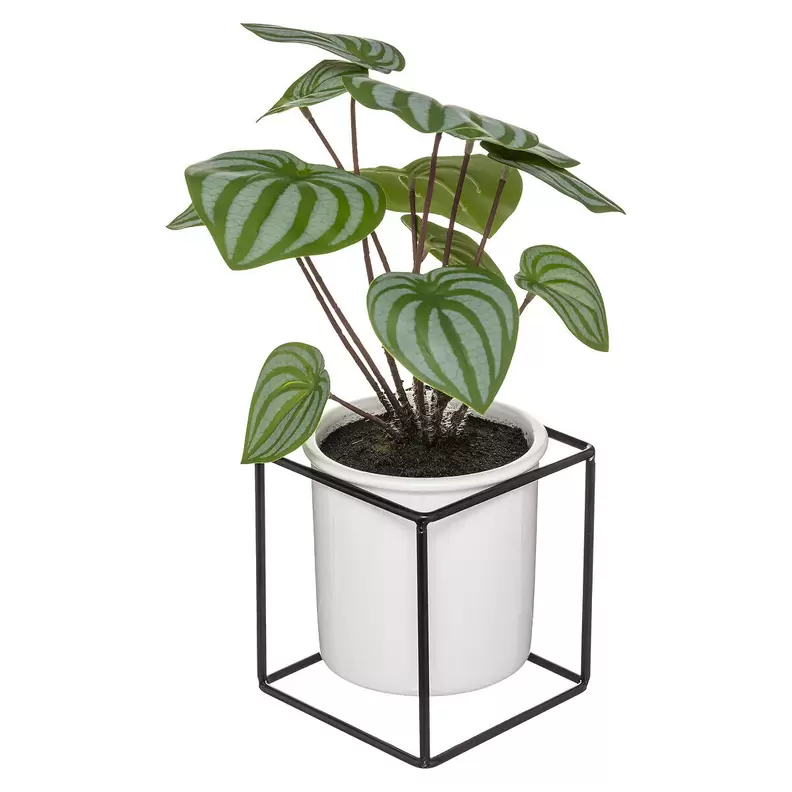 Oferta de Planta Maranta Artifical Com Suporte 32cm por 14,99€ em hôma