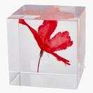 Oferta de Cubo decorativo RUMLE L7xC7xA7cm com flor por 500,2€ em JYSK