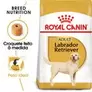 Oferta de Royal Canin Labrador Retriever Adult por 60,99€ em Zooplus