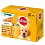 Oferta de Multipack Pedigree Junior saquetas em gelatina por 7,79€ em Zooplus