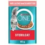 Oferta de PURINA ONE Sterilised por 25,99€ em Zooplus