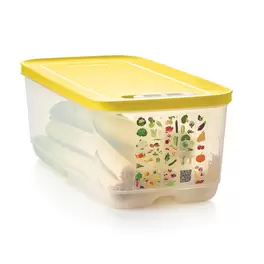 Oferta de VentSmart Alta 6,1 l por 49,9€ em Tupperware