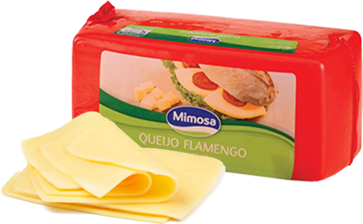 Oferta de Queijo Mimosa Flamengo por 7,49€ em Neomáquina