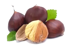 Oferta de Castanha por 4,79€ em Neomáquina