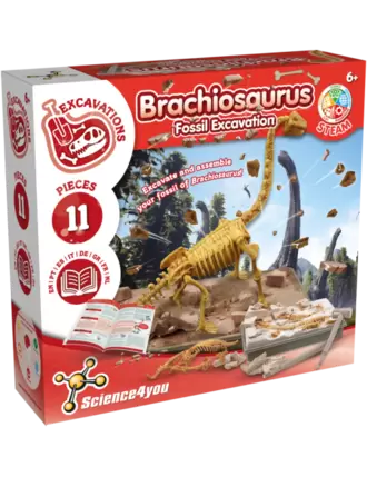 Oferta de Escavações Fósseis - Brachiosaurus por 11,89€ em Science4you