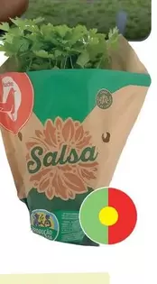 Oferta de Salsaem Auchan