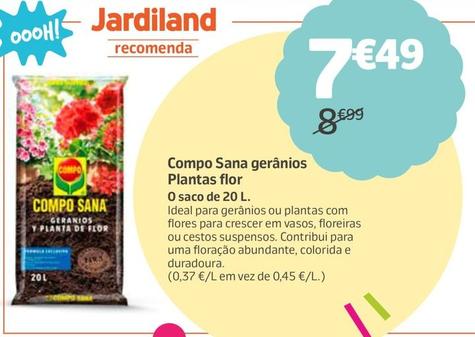 Oferta de Compo Sana - Gerânios Plantas Flor por 7,49€ em Jardiland