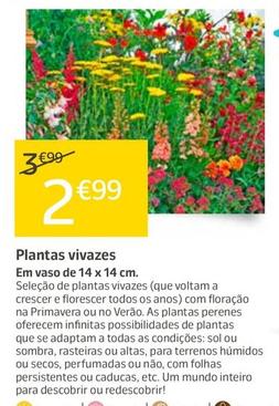 Oferta de Plantas Vivazes por 2,99€ em Jardiland