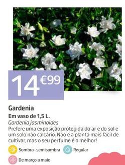 Oferta de Gardenia por 14,99€ em Jardiland