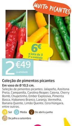 Oferta de Coleção De Pimentos Picantes por 2,49€ em Jardiland