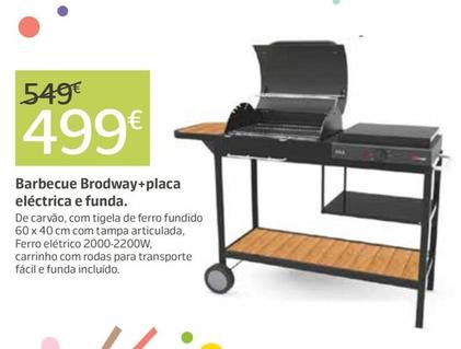 Oferta de Barbecue Brodway+Placa Eléctrica E Funda. por 499€ em Jardiland