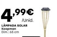 Oferta de Lâmpada Solar por 4,99€ em Intermarché