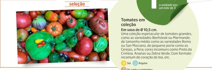Oferta de Tomates Em Colecao por 1,99€ em Jardiland