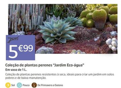 Oferta de Coleçao De Plantas Perenes "Jardim Eco Agua" por 5,99€ em Jardiland