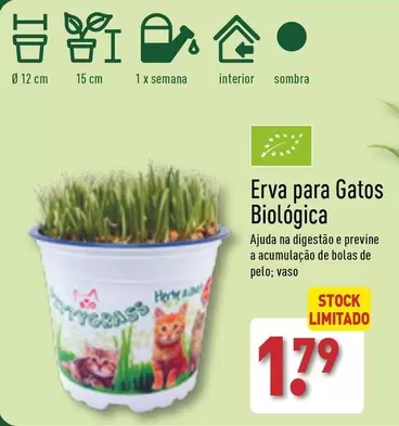 Oferta de Erva Para Gatos Biologica por 1,79€ em Aldi