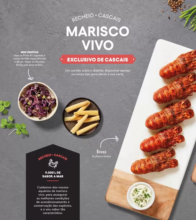 Oferta de Mini - Marco Barilla - Vino Blancoem Recheio