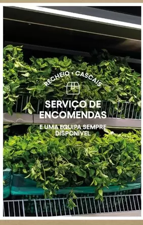 Oferta de Recheio - Servico De Encomendasem Recheio