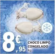 Oferta de Choco Limpo Congelado por 8,95€ em E.Leclerc