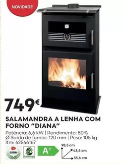 Oferta de A+ - Salamandra A Lenha Com Forno "diana" por 749€ em Bricomarché