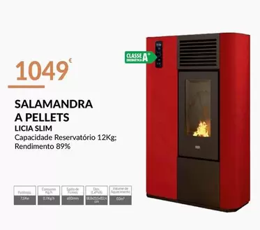 Oferta de A+ - Salamandra A Pellets por 1049€ em E.Leclerc