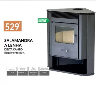 Oferta de A+ - Salmanda A Lenha por 529€ em E.Leclerc