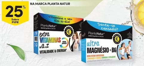 Oferta de Planta - Naranjaem Continente