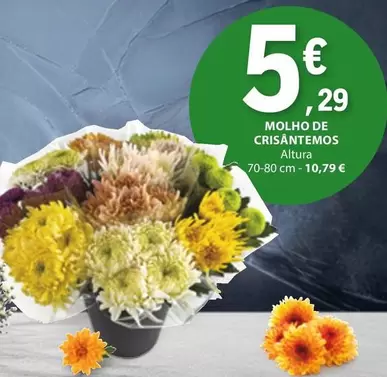 Oferta de Molho De Crisantemos por 5,29€ em E.Leclerc