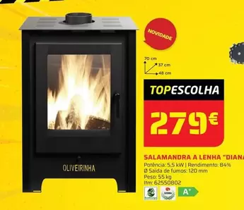 Oferta de Dian - Salamandra A Lenha por 279€ em Bricomarché