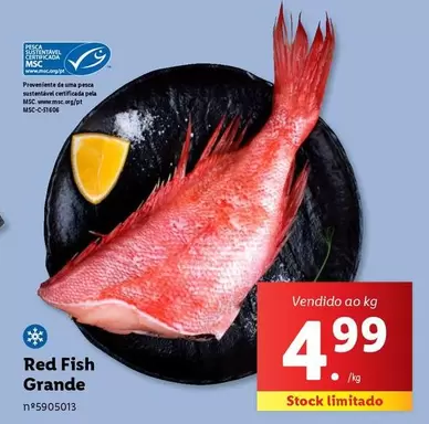 Oferta de Red Fish Grande por 4,99€ em Lidl