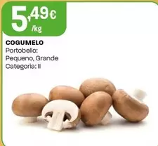 Oferta de Cogumelo por 5,49€ em Intermarché