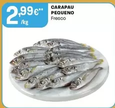 Oferta de Carapau Pequeno por 2,99€ em Intermarché