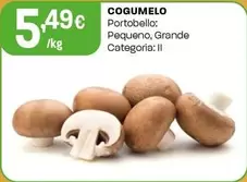 Oferta de Cogumelo por 5,49€ em Intermarché