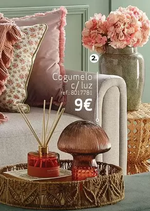 Oferta de Cogumelo por 9€ em Continente