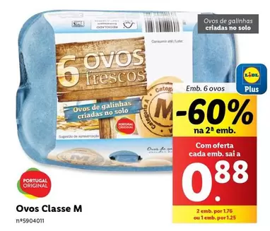 Oferta de Portugal - Ovosem Lidl