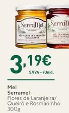 Oferta de Algarve - Mel por 3,19€ em Recheio