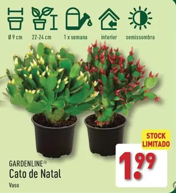 Oferta de Cato De Natal por 1,99€ em Aldi