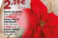 Oferta de Ramo De Natal por 2,29€ em Intermarché