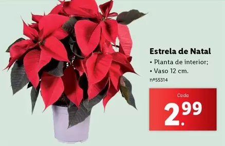 Oferta de Estrela - Estrela De Natal por 2,99€ em Lidl