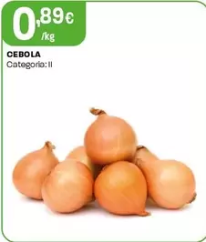 Oferta de Cebola por 0,89€ em Intermarché