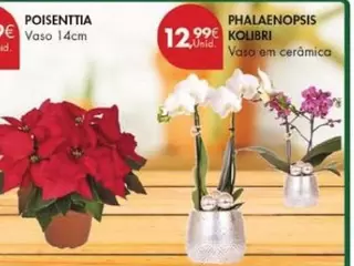 Oferta de Poisentia por 12,99€ em Pingo Doce