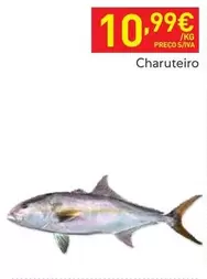 Oferta de Charuteur por 10,99€ em Recheio