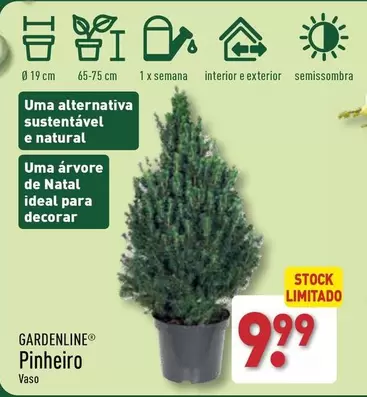 Oferta de Gardenline - Pinheiro  por 9,99€ em Aldi