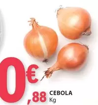 Oferta de Cebola por 0,88€ em E.Leclerc